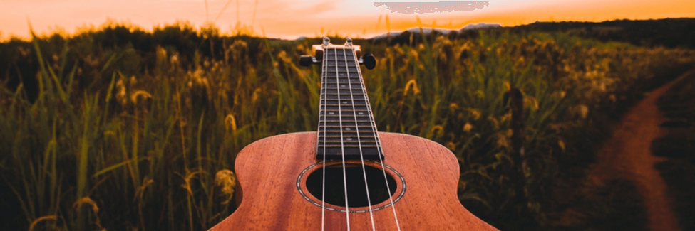 Close up of an acoustic guitar in a meadow at sunset.